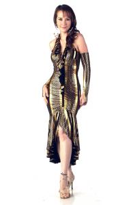 Sexy Gold Glamour Dress
