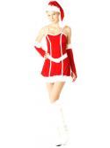 Mrs Santa Claus Dress