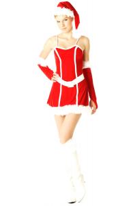 Mrs Santa Claus Dress
