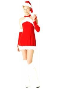 Elegant Santa Mini Dress