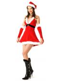 Sexy Santas Mistress Costume