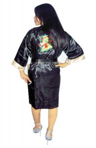 Embroidered Dragon Robe