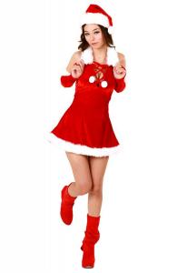 Sensuously Hot Santa Uniform