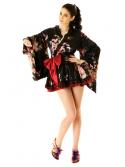 Salsa Kimono Mini Dress
