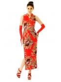 Sexy Oriental Dress